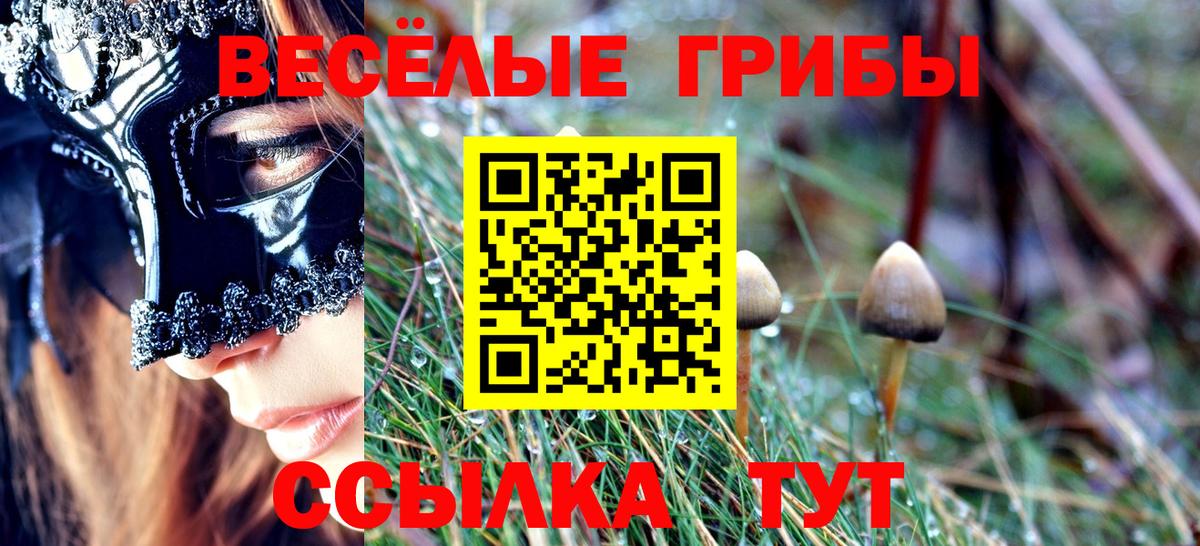 Пермь  цены   Вход с VPN  Псилоцибиновые грибы GOLDEN TEACHER 
