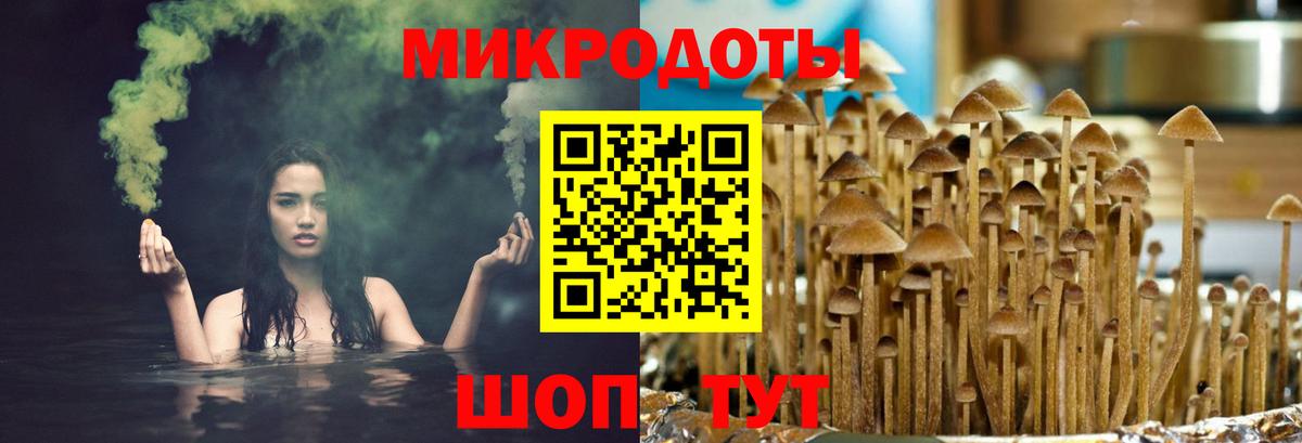 Галлюциногенные грибы Magic Shrooms Пермь